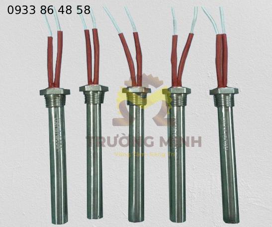 Ti nhiệt đun nước răng 21 220V 2kW, inox SUS304, gia nhiệt nhanh – an toàn – bền. Nhiệt Trường Minh sản xuất đúng kích thước ren & công suất theo yêu cầu.