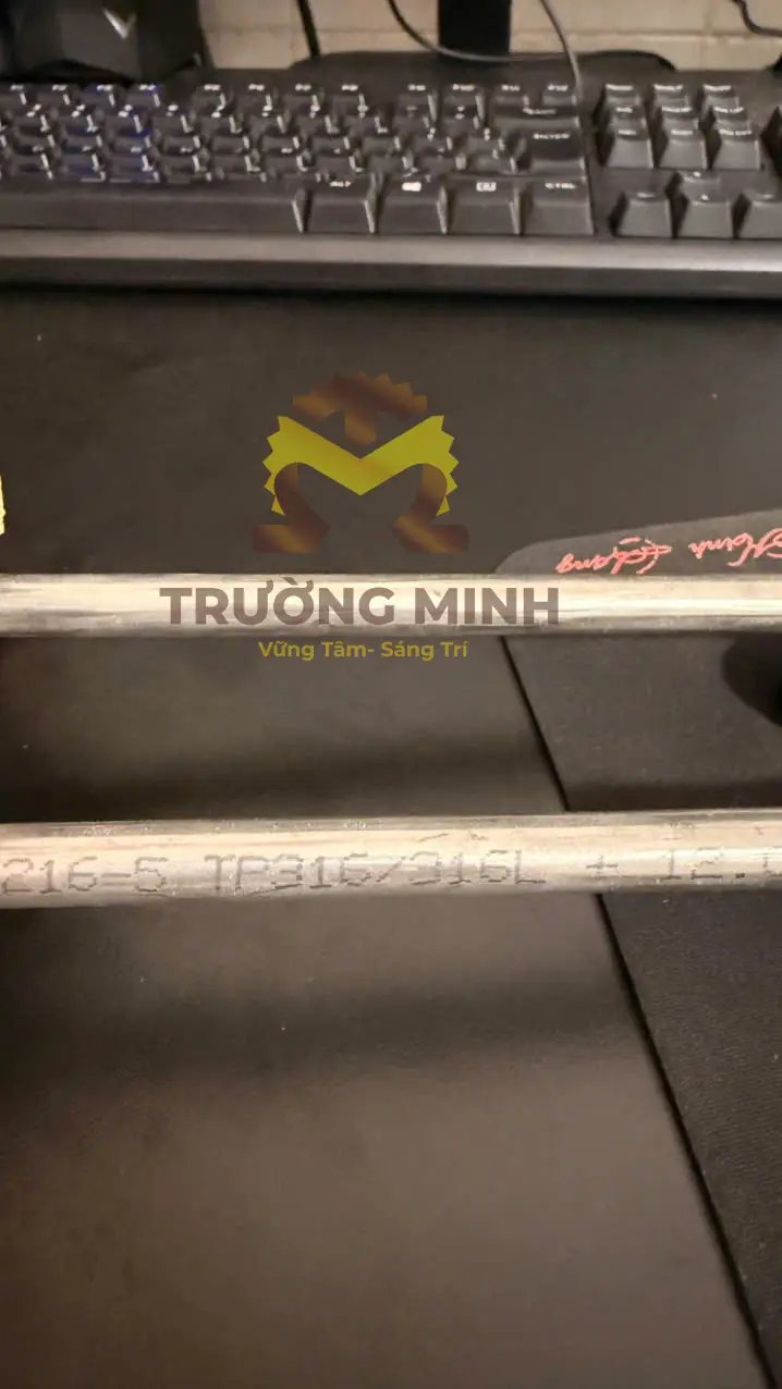 Điện trở nhiệt SUS316L